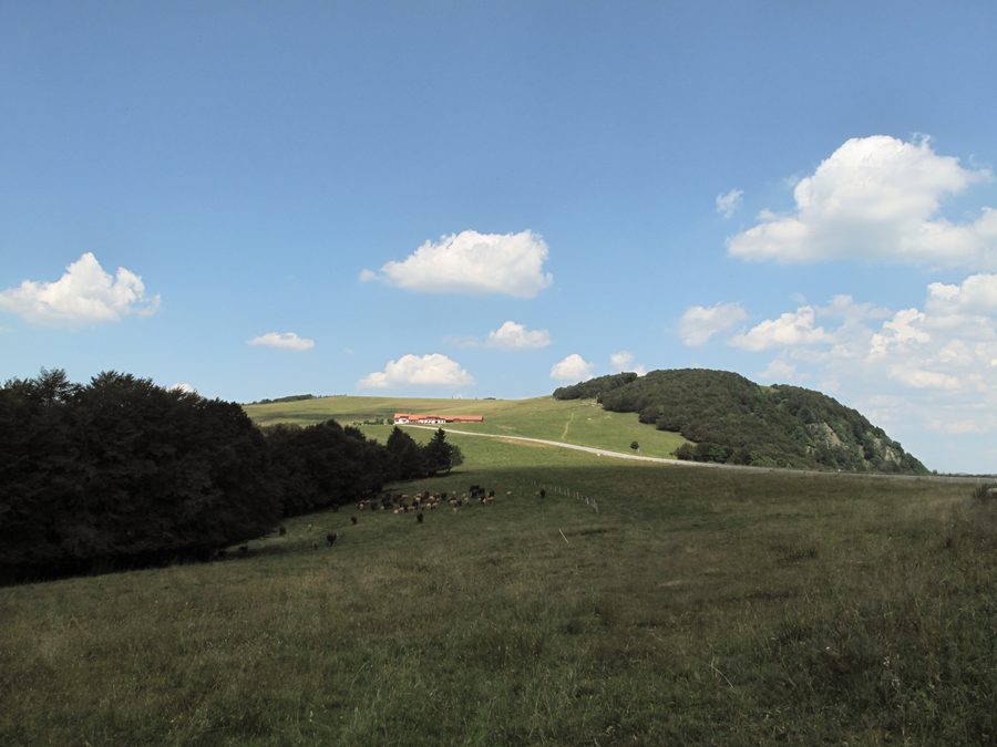 Le massif du Ballon d'Alsace, dans les Vosges