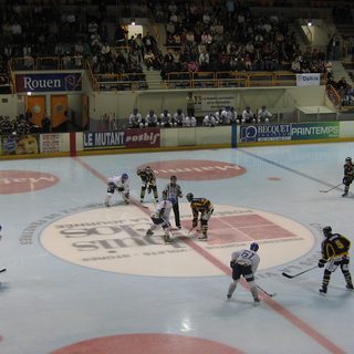 Engagement au centre de la piste lors d'un match de Ligue Magnus entre Rouen et Dijon à la patinoire de l'île Lacroix, devant des tribunes garnies